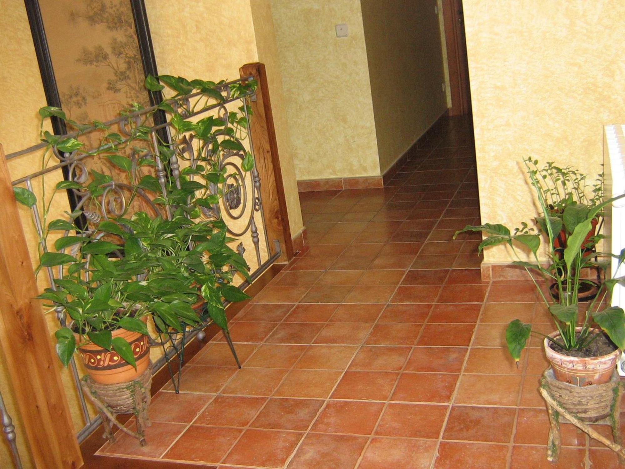Hotel Rural El Museo Cedillo de la Torre Bagian luar foto